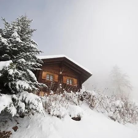 Traditional Chalet In The Heart Of Nature 샬레 Sarreyer